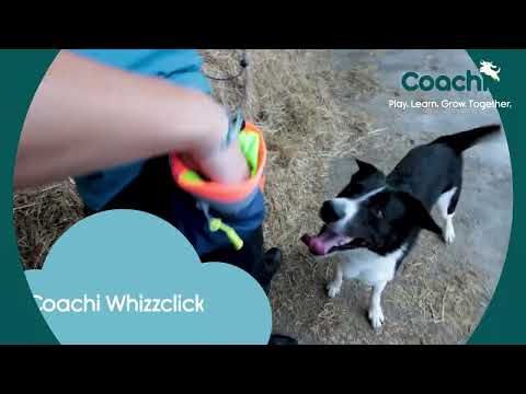 Coachi Whizzclick 2in1 Clicker and Whistle