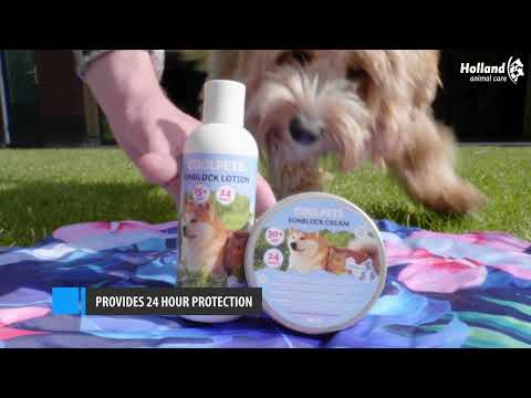 Sunscreen for Dogs