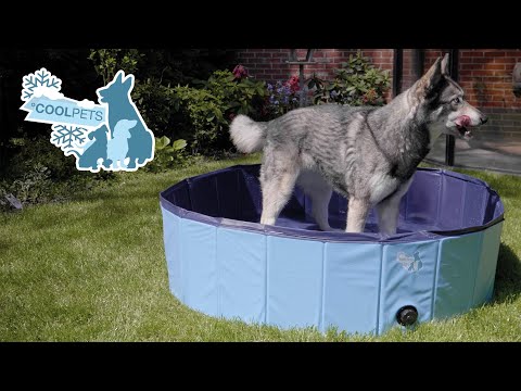 Paddling Pool for Dogs