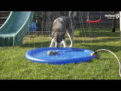 Cool Pets Splash Sprinkler
