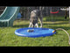 Cool Pets Splash Sprinkler