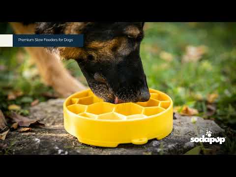 SodaPup HoneyComb eBowl Slow Feeder