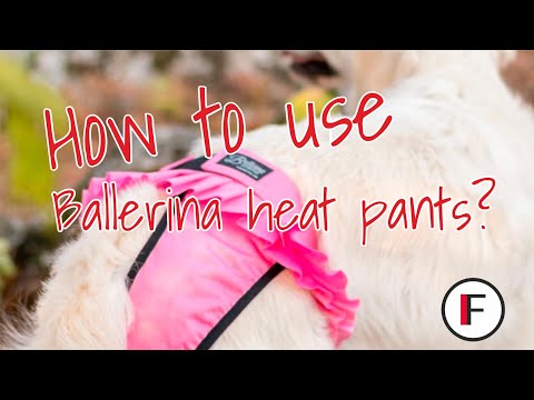 Finnero Female Dog Heat & Hygiene Pants