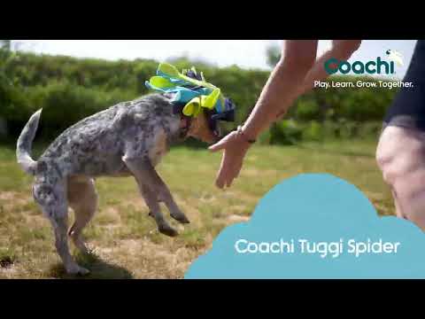 Coachi Tuggi Spider