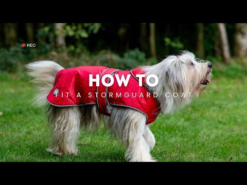 Ancol Stormguard Hi Vis Dog Coat