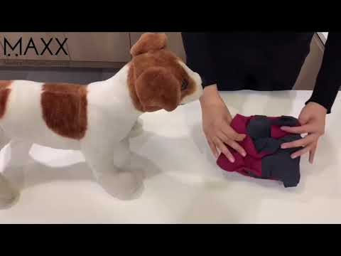 MAXX Surgical Recovery Suit for Dogs