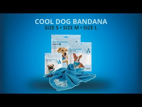 Cooling Bandana for Pets