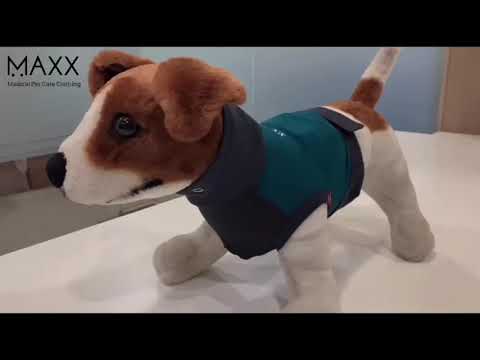 MAXX Surgical Recovery Suit for Dogs
