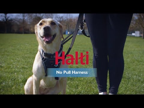 Halti - No Pull Harness