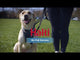 Halti - No Pull Harness