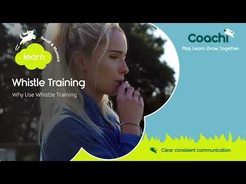 Coachi Professional Whistle