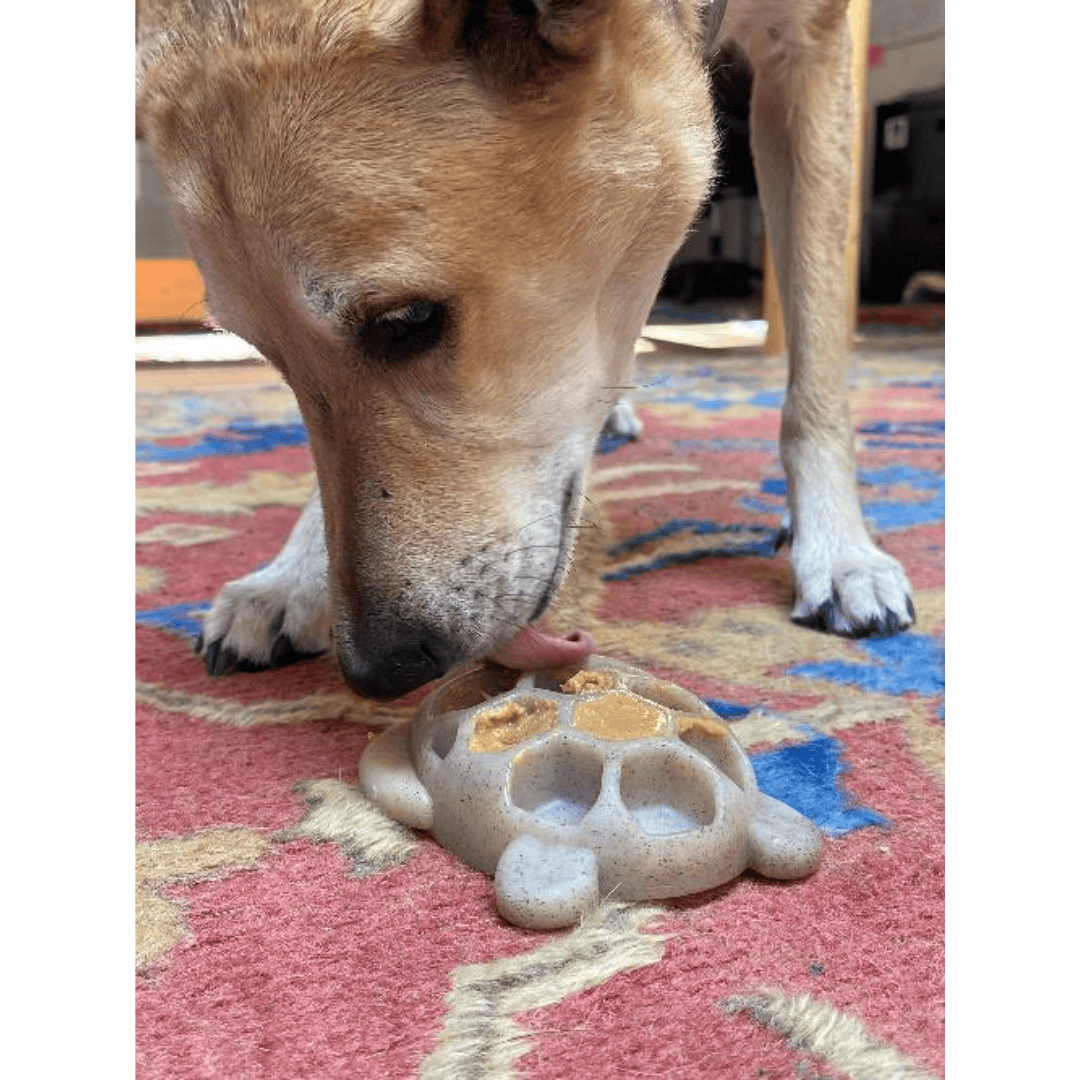SodaPup Turtle Nylon Chew Toy and Enrichment Tray