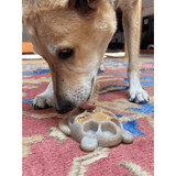 SodaPup Turtle Nylon Chew Toy and Enrichment Tray