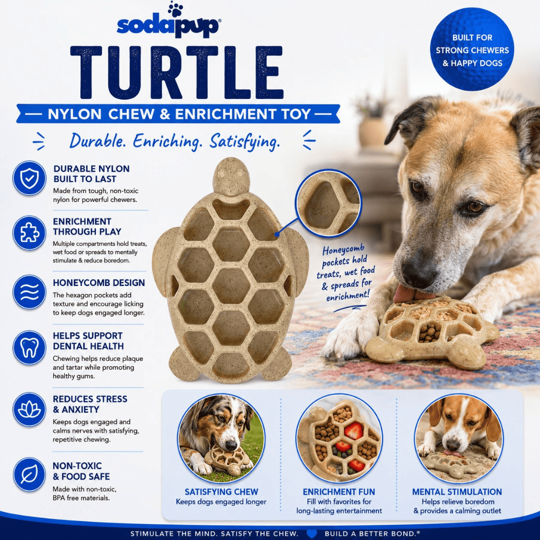 SodaPup Turtle Nylon Chew Toy and Enrichment Tray