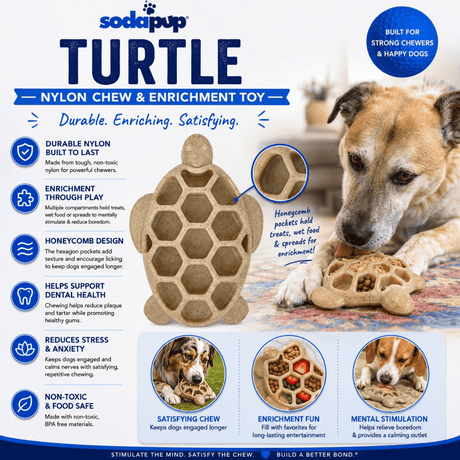 SodaPup Turtle Nylon Chew Toy and Enrichment Tray