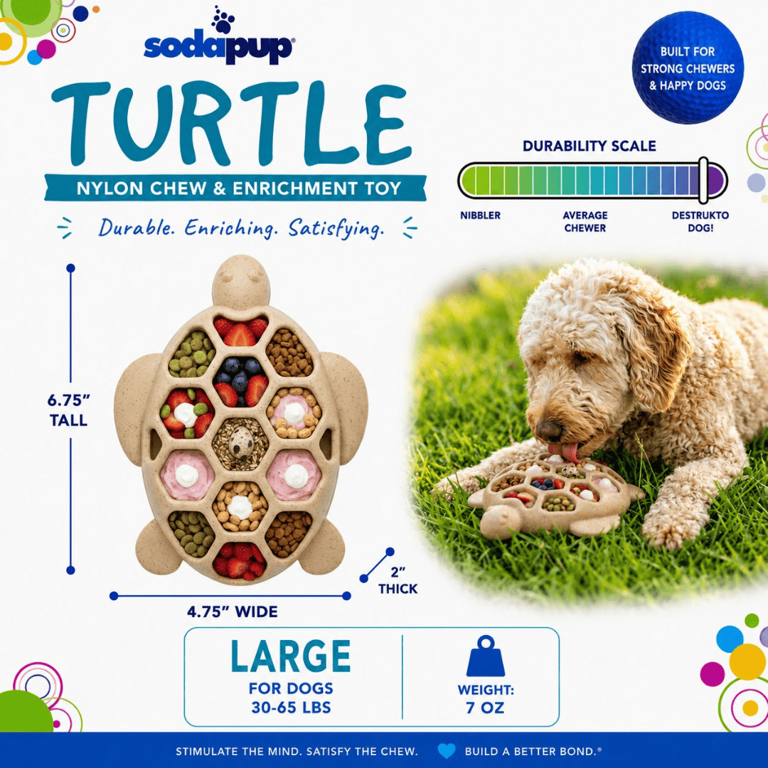 SodaPup Turtle Nylon Chew Toy and Enrichment Tray