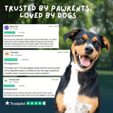 Dog with Trustpilot reviews on a green background