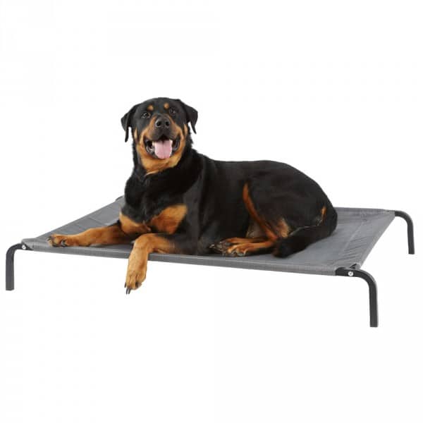 Elevated Large Dog Bed