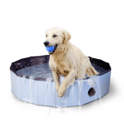 Paddling Pool for Dogs