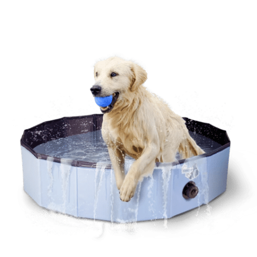 Paddling Pool for Dogs