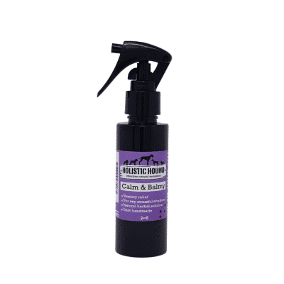 Holistic Hound Calming Spray for Dogs at Halloween 