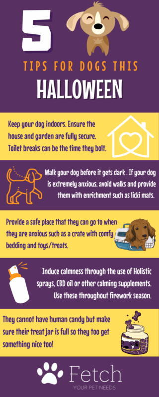 5 Top Tips for Dogs at Halloween Infographic