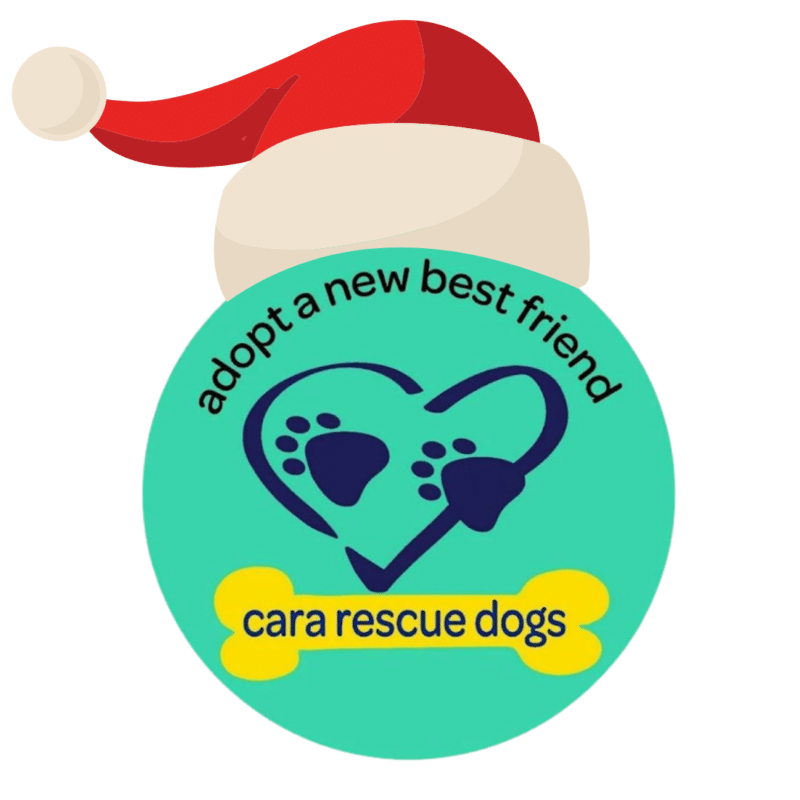 Cara Rescue Dogs Christmas Shoebox Appeal