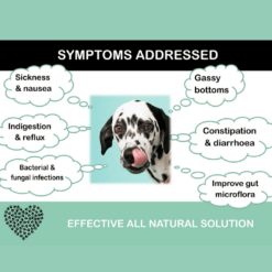 Tummies Symptoms Addressed
