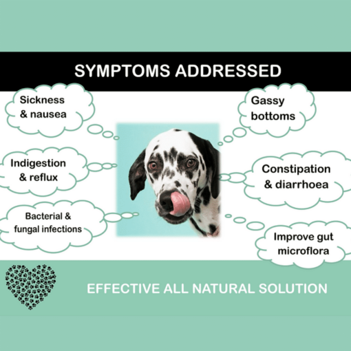 Tummies Symptoms Addressed