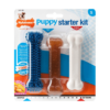 Nylabone Puppy Starter Kit Puppy Teething Toys in Packaging, on a white Background